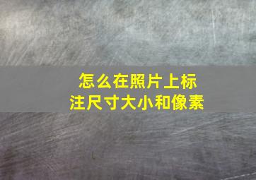 怎么在照片上标注尺寸大小和像素