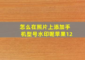 怎么在照片上添加手机型号水印呢苹果12