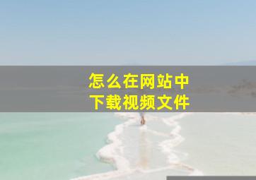 怎么在网站中下载视频文件