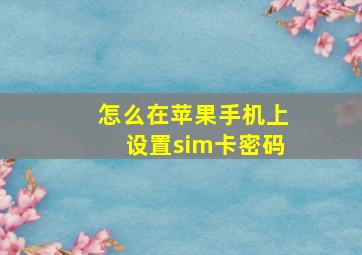 怎么在苹果手机上设置sim卡密码