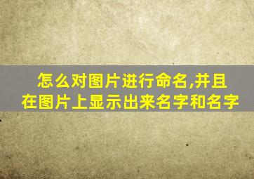 怎么对图片进行命名,并且在图片上显示出来名字和名字