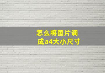 怎么将图片调成a4大小尺寸