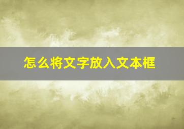 怎么将文字放入文本框