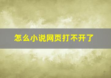 怎么小说网页打不开了