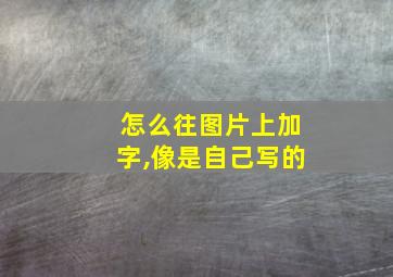 怎么往图片上加字,像是自己写的