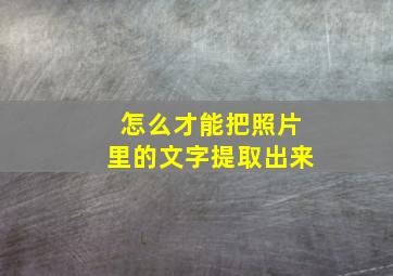 怎么才能把照片里的文字提取出来