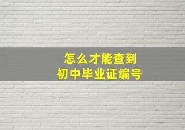 怎么才能查到初中毕业证编号