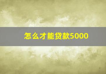 怎么才能贷款5000