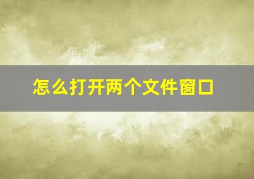 怎么打开两个文件窗口