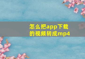 怎么把app下载的视频转成mp4