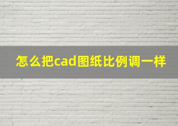 怎么把cad图纸比例调一样