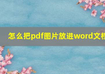 怎么把pdf图片放进word文档