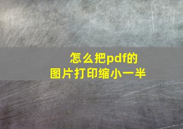 怎么把pdf的图片打印缩小一半