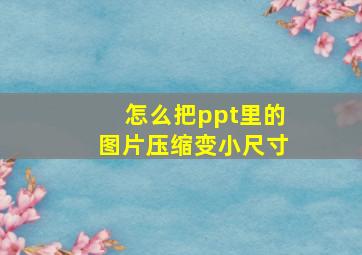 怎么把ppt里的图片压缩变小尺寸