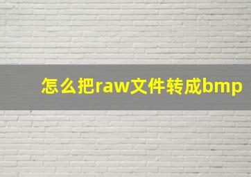 怎么把raw文件转成bmp