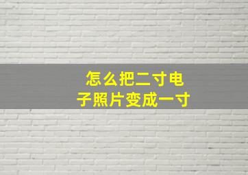 怎么把二寸电子照片变成一寸