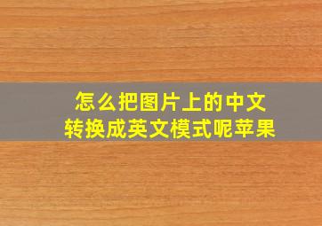 怎么把图片上的中文转换成英文模式呢苹果