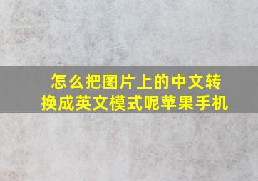 怎么把图片上的中文转换成英文模式呢苹果手机