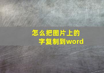 怎么把图片上的字复制到word