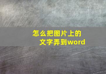 怎么把图片上的文字弄到word