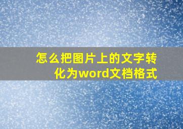 怎么把图片上的文字转化为word文档格式