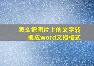 怎么把图片上的文字转换成word文档格式