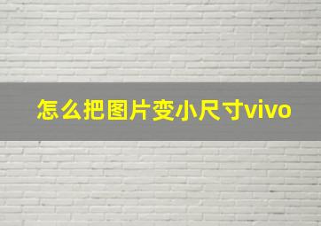 怎么把图片变小尺寸vivo