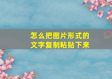 怎么把图片形式的文字复制粘贴下来