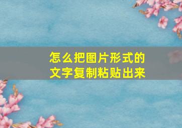 怎么把图片形式的文字复制粘贴出来