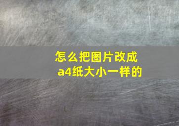 怎么把图片改成a4纸大小一样的