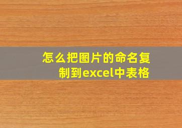 怎么把图片的命名复制到excel中表格