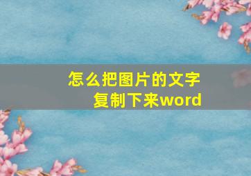 怎么把图片的文字复制下来word