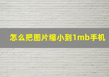 怎么把图片缩小到1mb手机