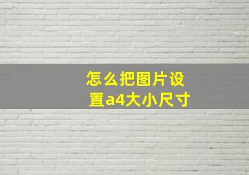 怎么把图片设置a4大小尺寸