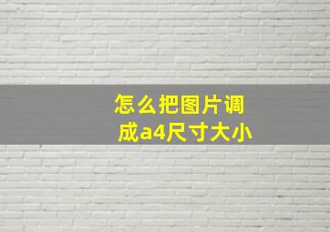 怎么把图片调成a4尺寸大小