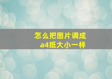 怎么把图片调成a4纸大小一样