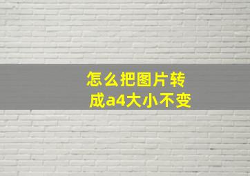 怎么把图片转成a4大小不变