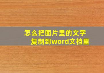 怎么把图片里的文字复制到word文档里