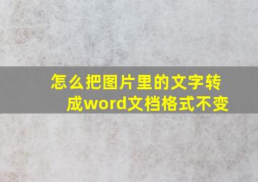 怎么把图片里的文字转成word文档格式不变