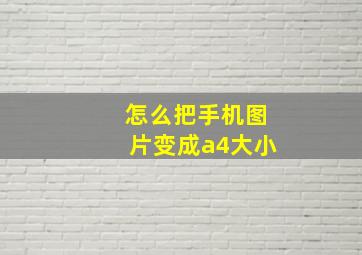 怎么把手机图片变成a4大小