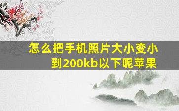 怎么把手机照片大小变小到200kb以下呢苹果