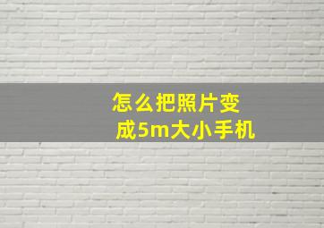 怎么把照片变成5m大小手机