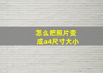 怎么把照片变成a4尺寸大小