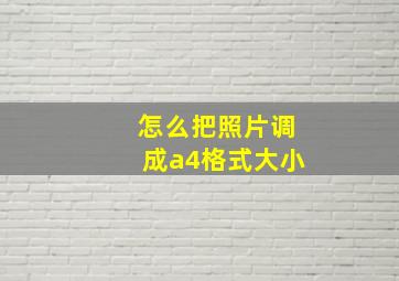 怎么把照片调成a4格式大小