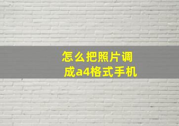 怎么把照片调成a4格式手机