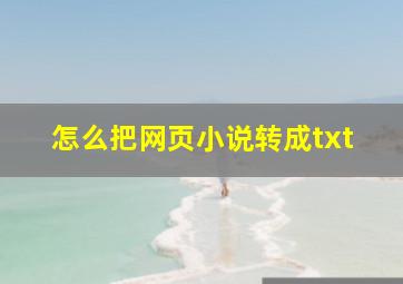 怎么把网页小说转成txt