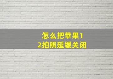 怎么把苹果12拍照延缓关闭