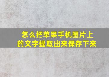 怎么把苹果手机图片上的文字提取出来保存下来