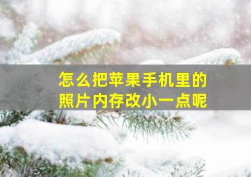 怎么把苹果手机里的照片内存改小一点呢