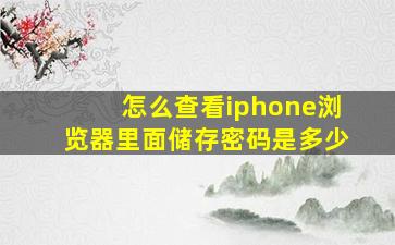 怎么查看iphone浏览器里面储存密码是多少